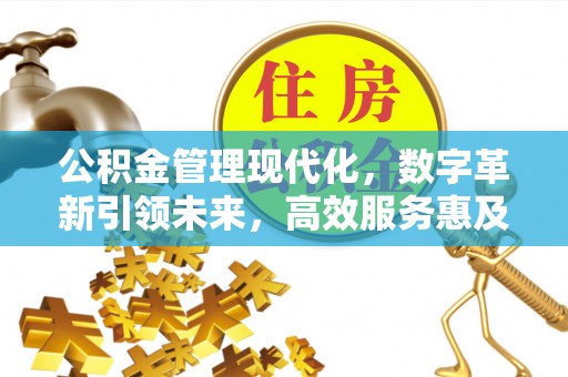 兖州公积金管理现代化，数字革新引领未来，高效服务惠及民生