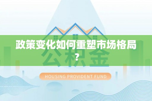 兖州政策变化如何重塑市场格局？