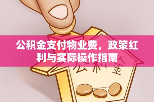 兖州公积金支付物业费，政策红利与实际操作指南