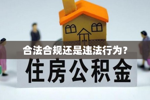兖州合法合规还是违法行为？